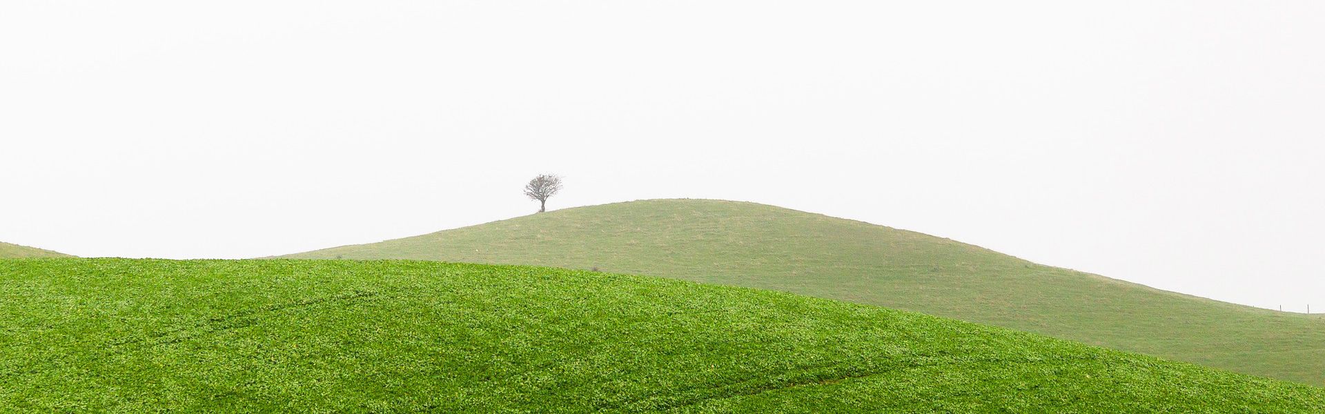 farm-slider